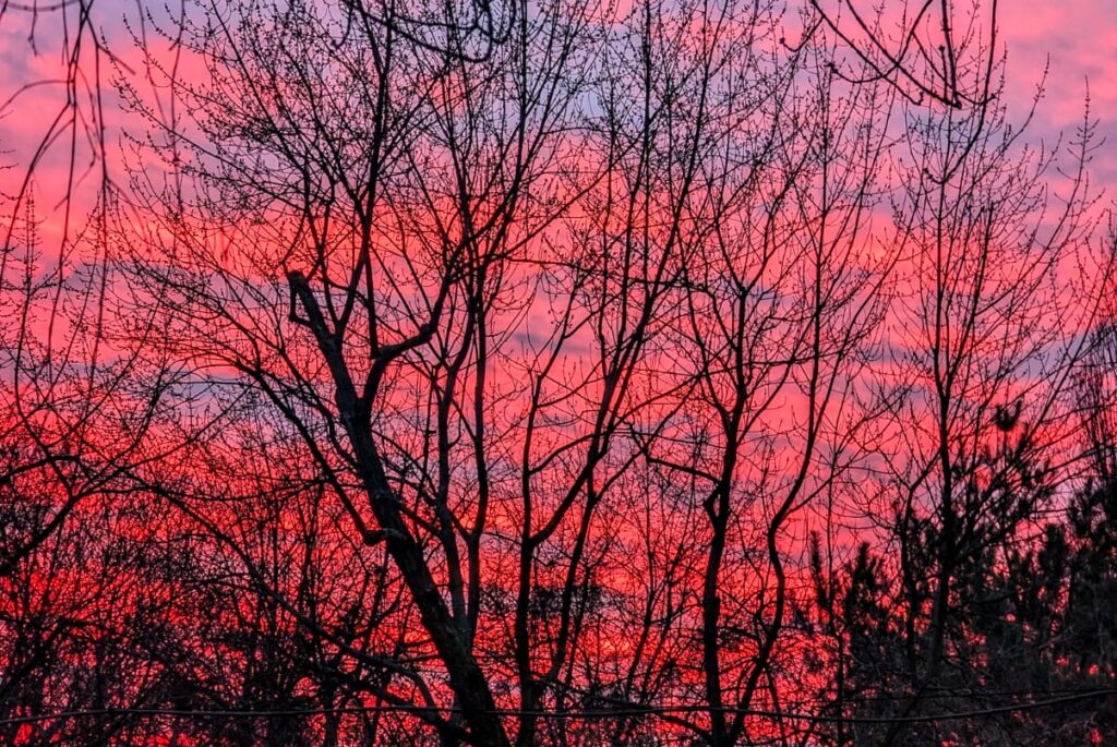 czerwone niebo o poranku