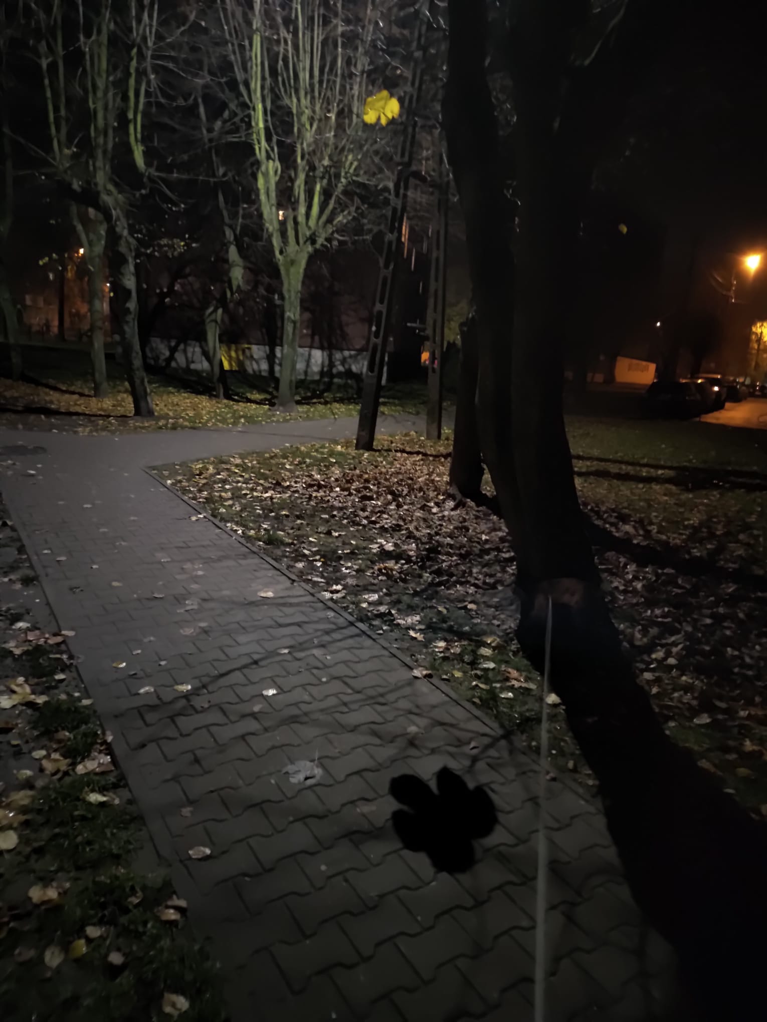 Ciało jako kompas